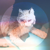 Lovelorn (Simian Ghost)
