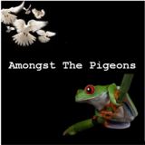 Amongst The Pigeons - ATPLP2 > Single 1 > The Inherent Racism Of Doves / The Return Of The Red-Eyed Raver