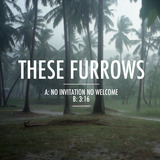 No Invitation No Welcome (These Furrows)