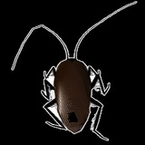 rOAchEs pItchEs (t__hiroto)
