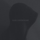 The Sound Is Not Asleep PR - Buffalo Tide - Huge Chromosome