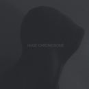 The Sound Is Not Asleep PR - Buffalo Tide - Huge Chromosome