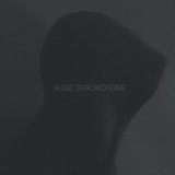 Buffalo Tide - Huge Chromosome (The Sound Is Not Asleep PR)