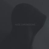Buffalo Tide - Huge Chromosome (The Sound Is Not Asleep PR)