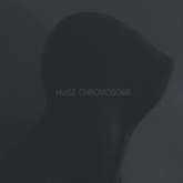 Buffalo Tide - Huge Chromosome (The Sound Is Not Asleep PR)