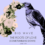 Big Wave - The Roots of Love (Come Tumbling Down)