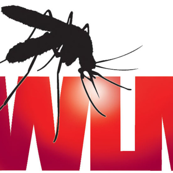 White Label Music (WLM) Amazing Radio