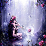 HawthornRose