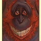 hippylisa