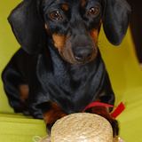 Manuela Pasin